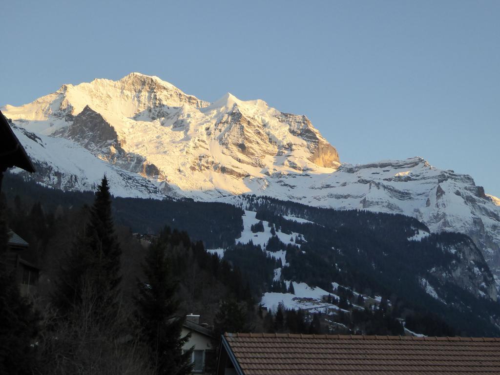 Chalet Gerbera Wengen Phòng bức ảnh