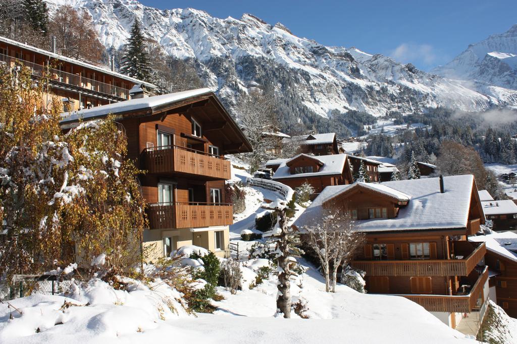 Chalet Gerbera Wengen Ngoại thất bức ảnh